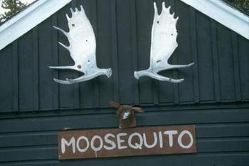 Hi Mosquito Creek - Wilderness Hostel Lake Louise